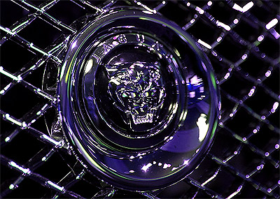 front jaguar grille emblem