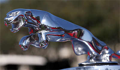 Jaguar on Jaguar Grille Showing A Front Faced Symbol Of A Jaguar