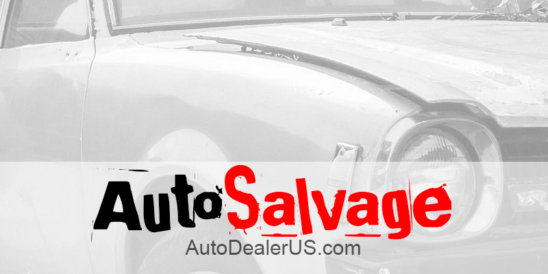 Auto Salvage Yards