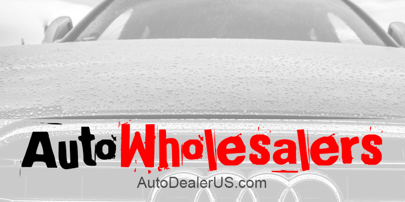 Automotive Wholesalers